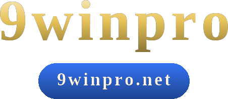 9winpro logo